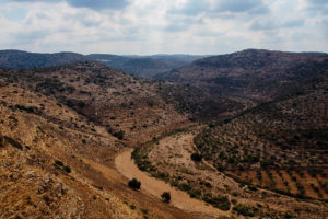 Wadi Qana, West Bank, Palestine